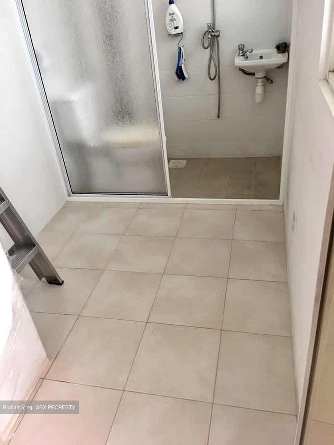 Woodleigh Close (D13), Condominium #581826501